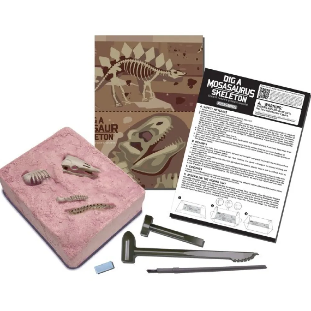 4M Kidz Labs Kit Geológico Esqueleto de Mosasaurus