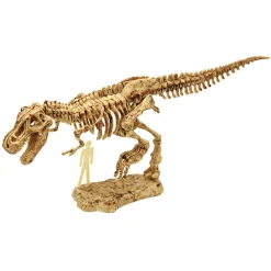 EUREKAKIDS Kit de excavación tyranosaurus
