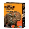 4M Kit Geológico de un Triceratops – Kidz Labs