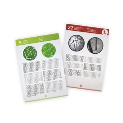 BUKI Microscopio Video 3-en-1