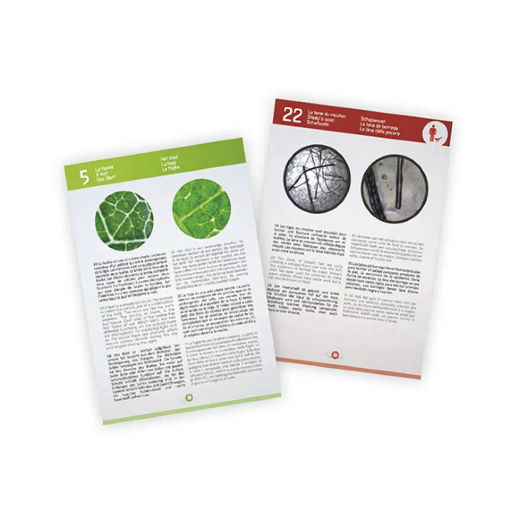 BUKI Microscopio Video 3-en-1