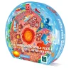 HAPE Puzle gigante circular iluminado de 36 piezas – Bajo tierra