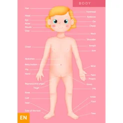 EUREKAKIDS Puzle gigante del cuerpo humano de 100 piezas